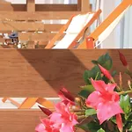 Vale D'azenha Rural & Residences 4* Alcobaça