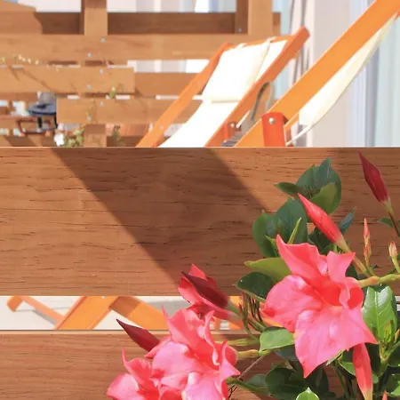 Vale D'azenha Rural & Residences 4* アルコバサ